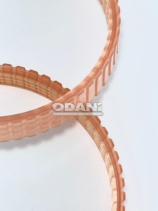 Correia 225007-7 Makita-Odani