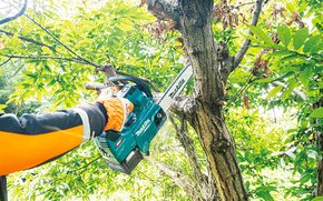 Motosserra 40V XGT UC003GZ Makita