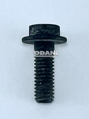 Parafuso da Flange 06x17mm 265512-2 Makita-Odani