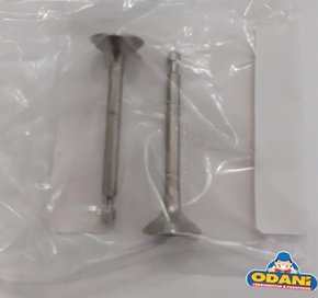 Válvula de Exaustão 325913-7 Makita-Odani