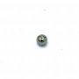 Esfera de Aço 04mm 216008-6 Makita-Odani